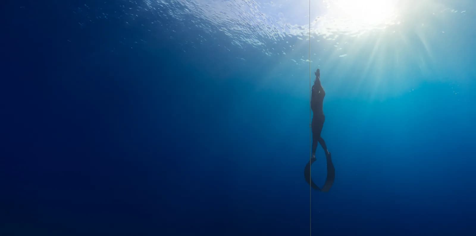 PacificBlue Freediving