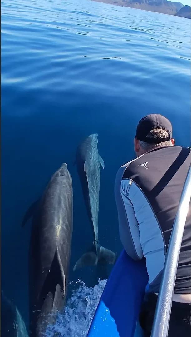 Divewithus La Paz Scuba Diving