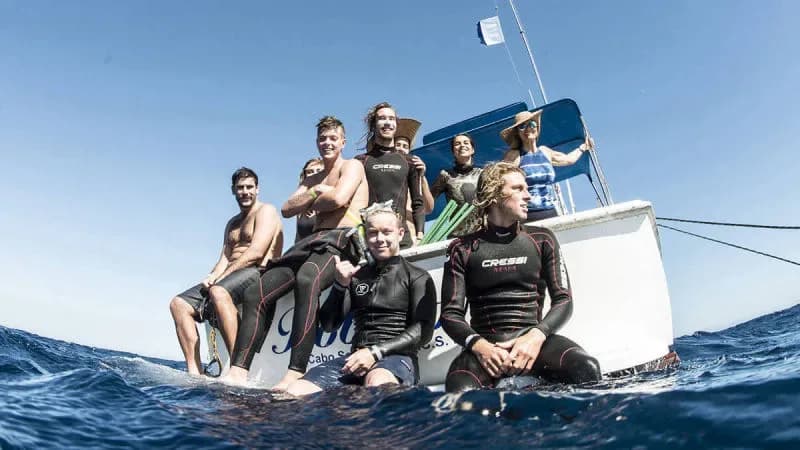 Cabo Shark Dive