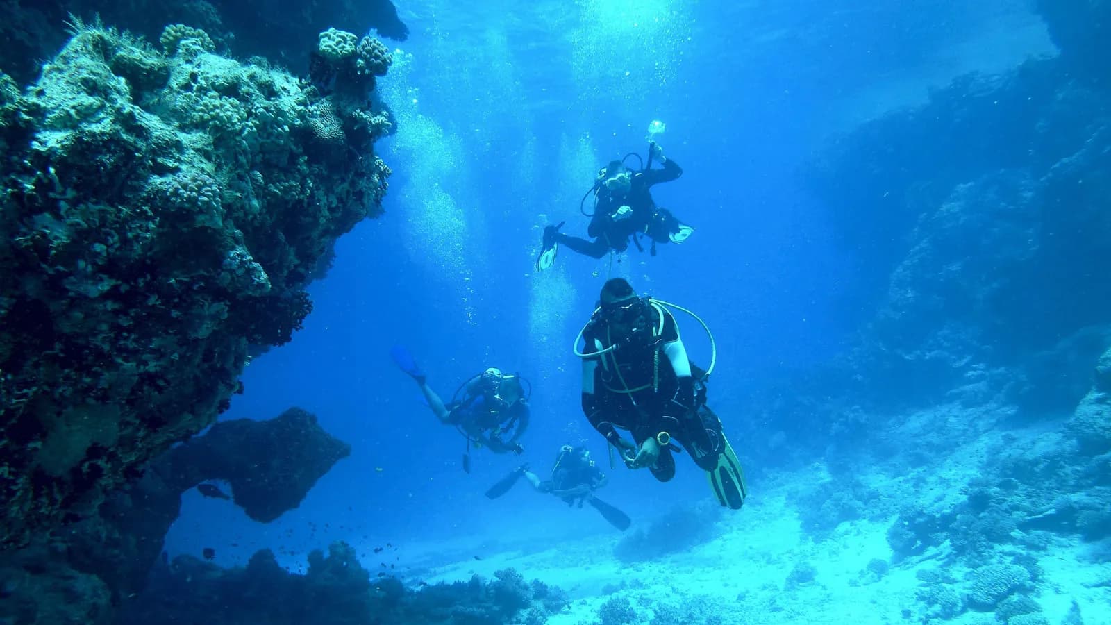 Island Staff Diving AND Tour Shoppe Inc.