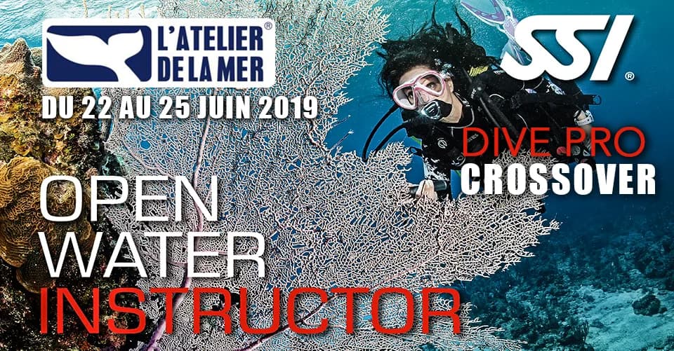 L'Atelier de la Mer - Diving Center & Shop