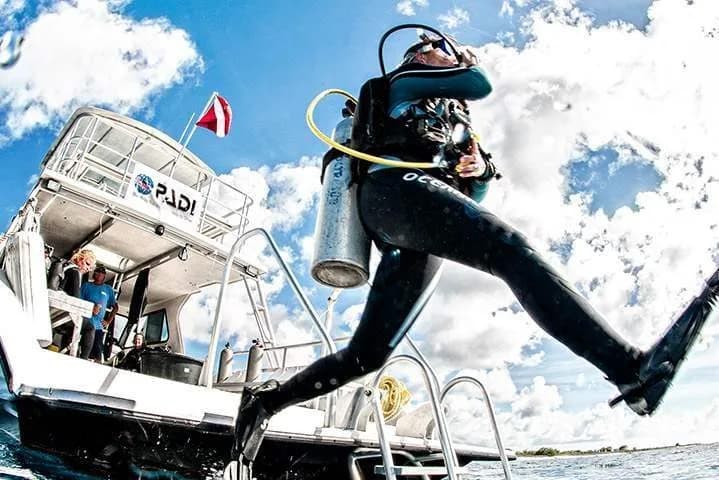 Diver Bees Dive Center Kusadasi