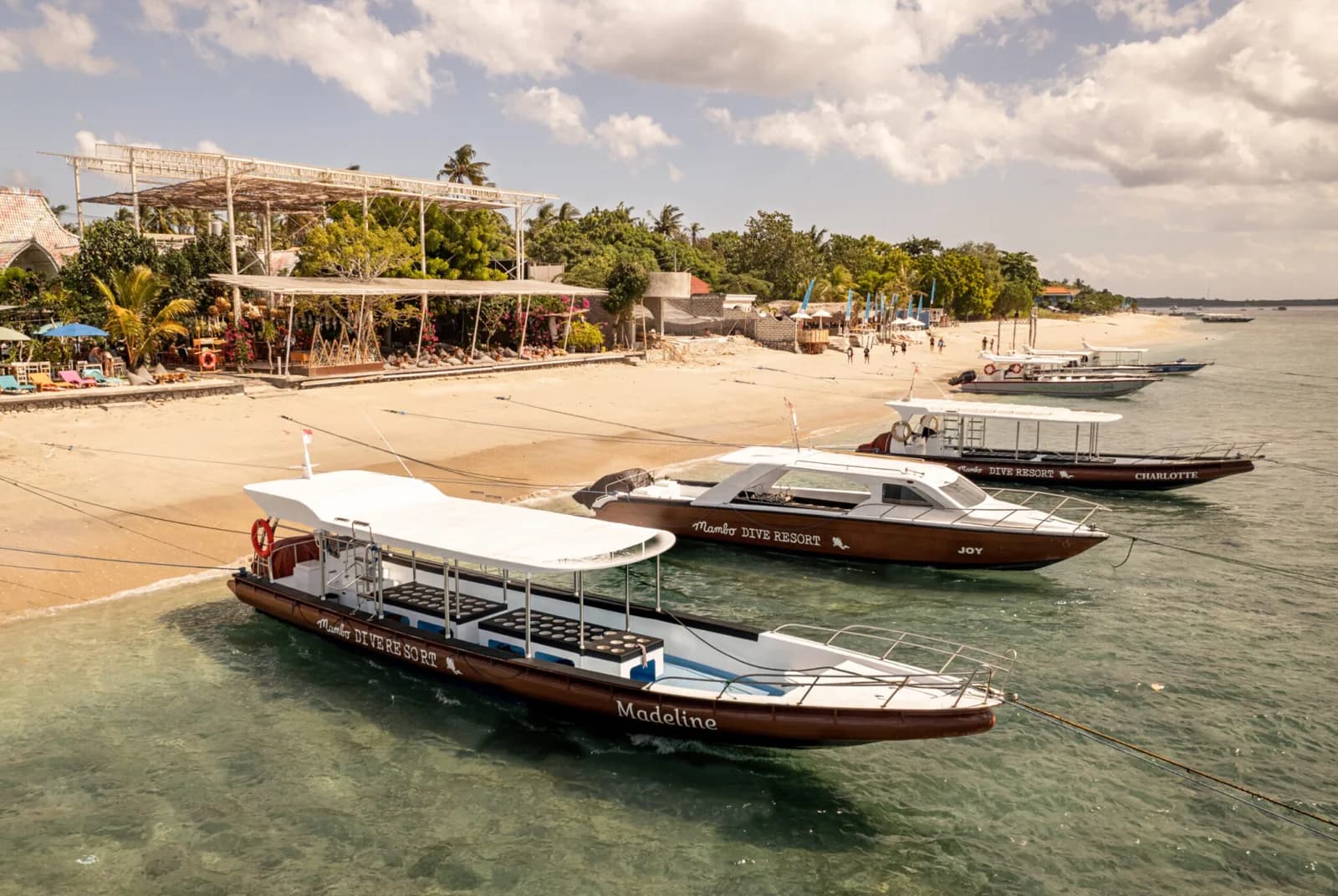 Mambo Dive Center Nusa Penida | Dive Resorts & Dive Center | Diving & Snorkeling