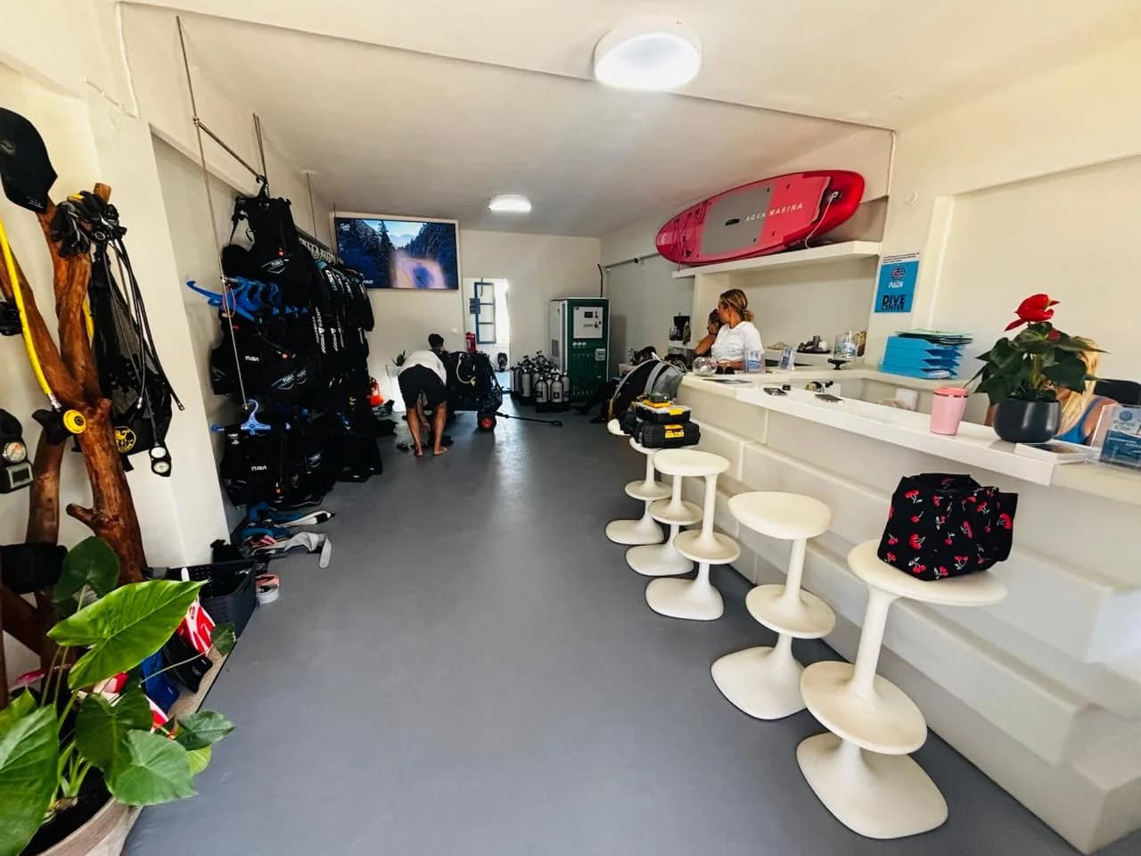 Paros Elite
