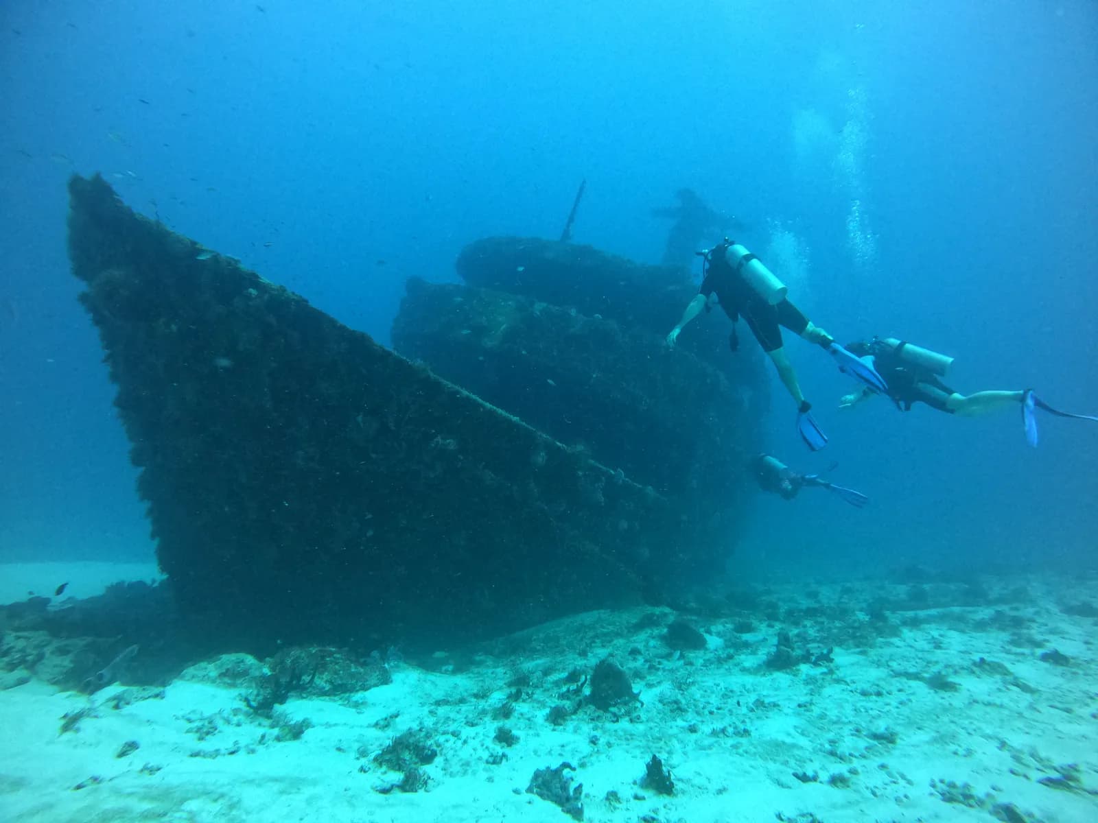 Tulum Diving and Travel