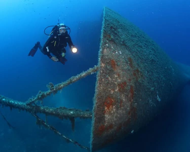 Blue Fin Divers