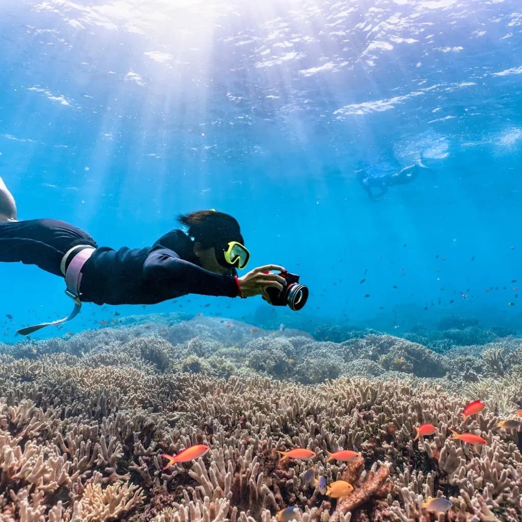 Manado Dive Club
