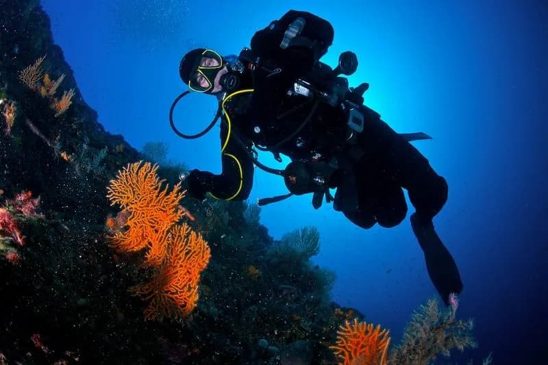 Diving Center Zlatna Luka