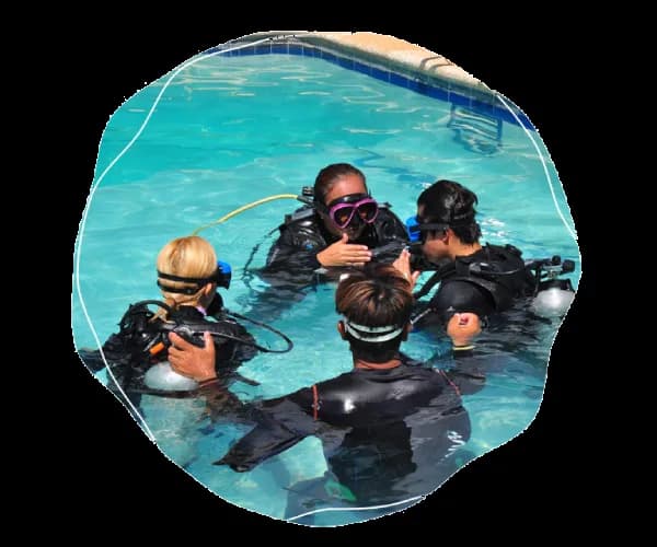 Emerald Green Diving Center エメラルドグリーンダイビングセンター