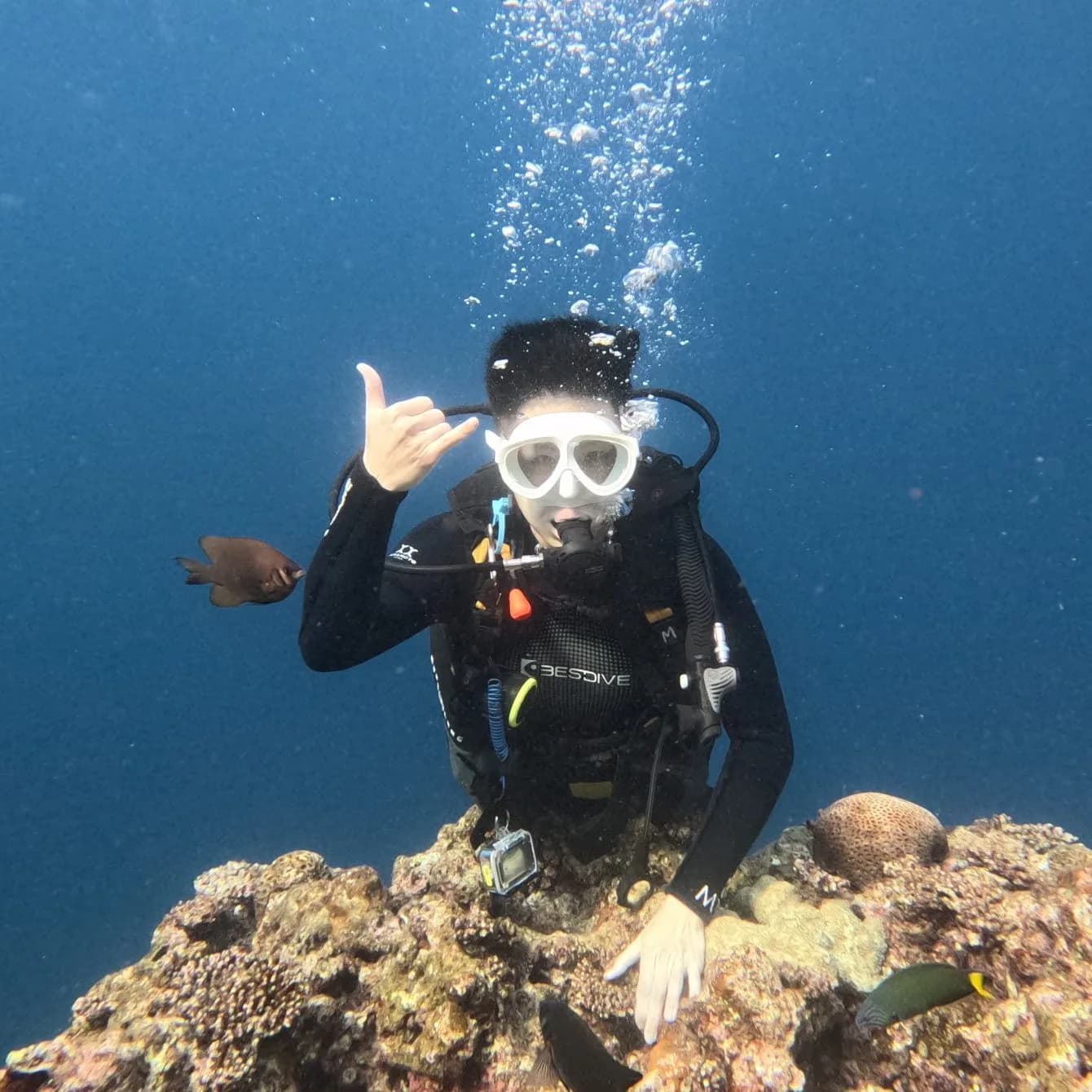 Best Dive Okinawa
