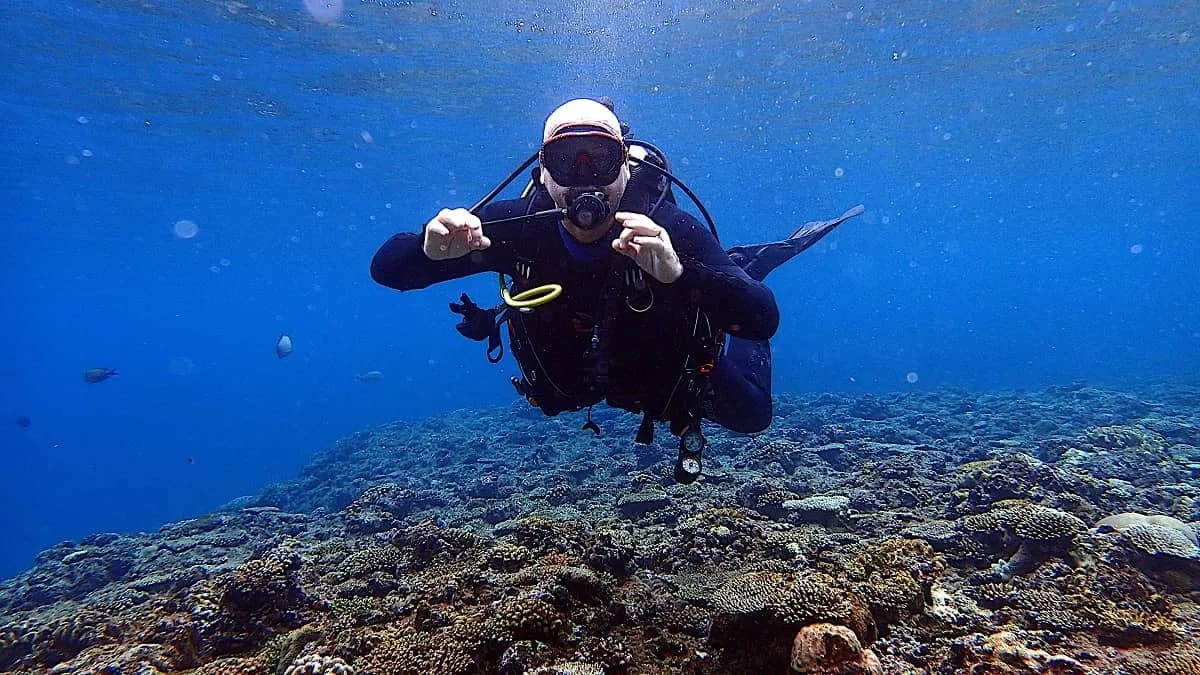 Live For Diving