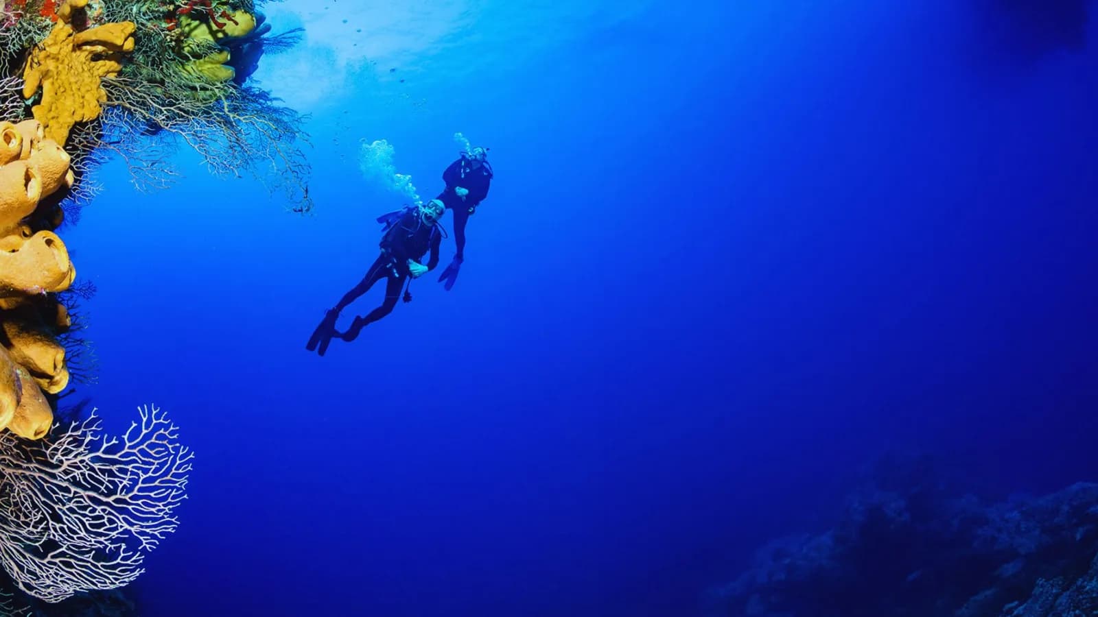Tauchen Hurghada Dive | Scuba Diving Center in Hurghada, PADI Courses