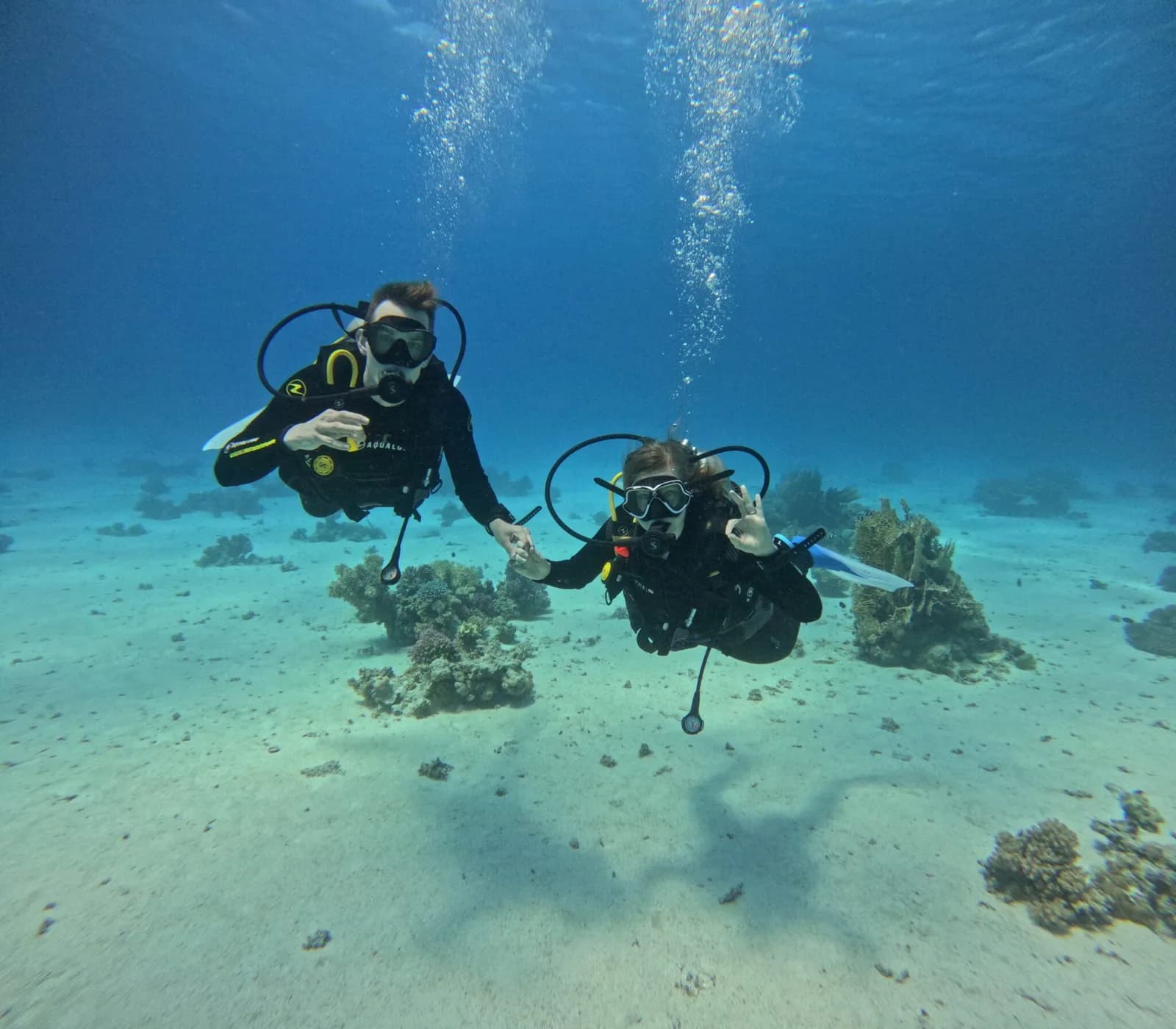 White Whale Divers | Scuba Diving Center in Hurghada