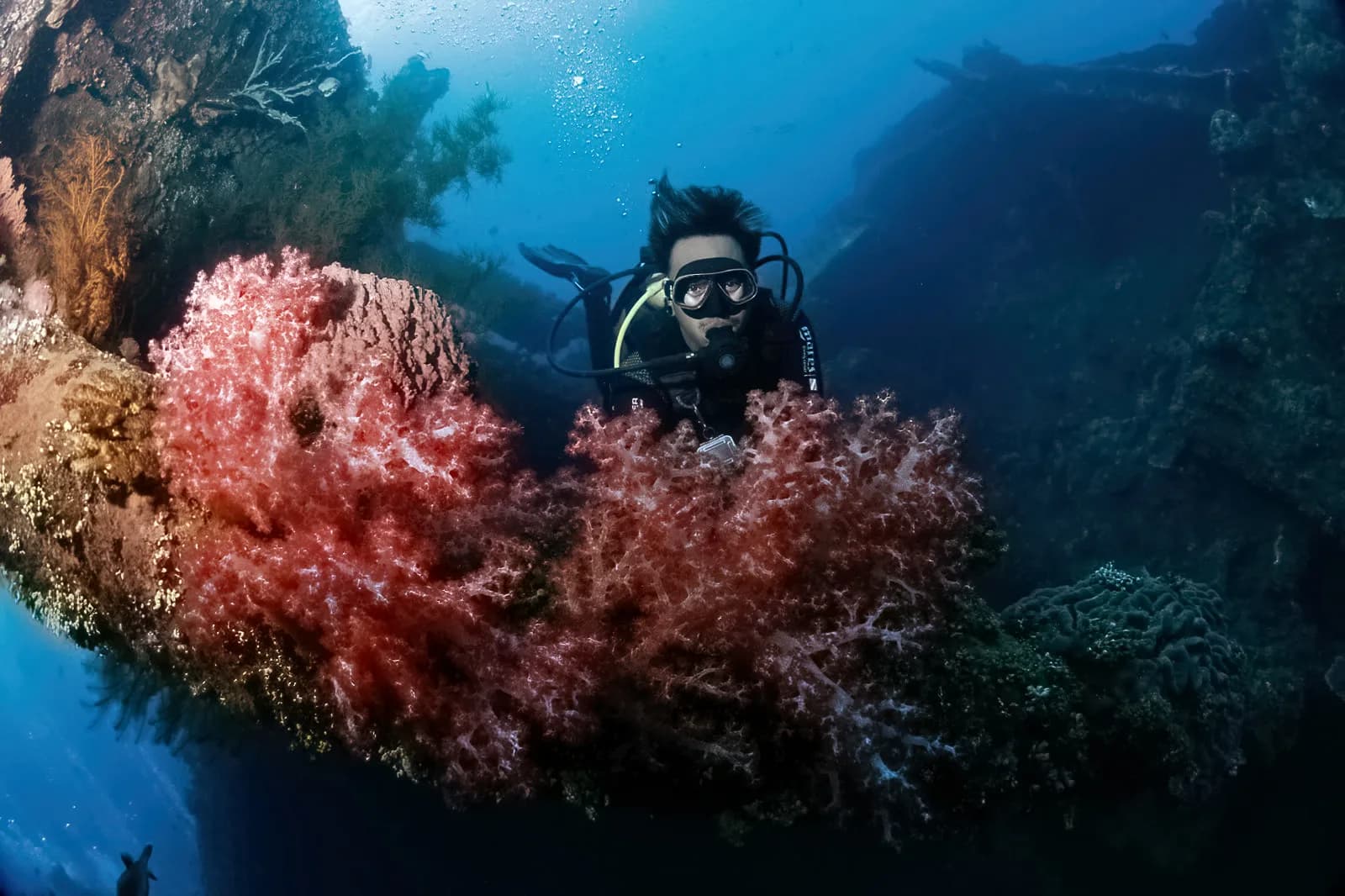 Diving with Jim - PADI Dive Center