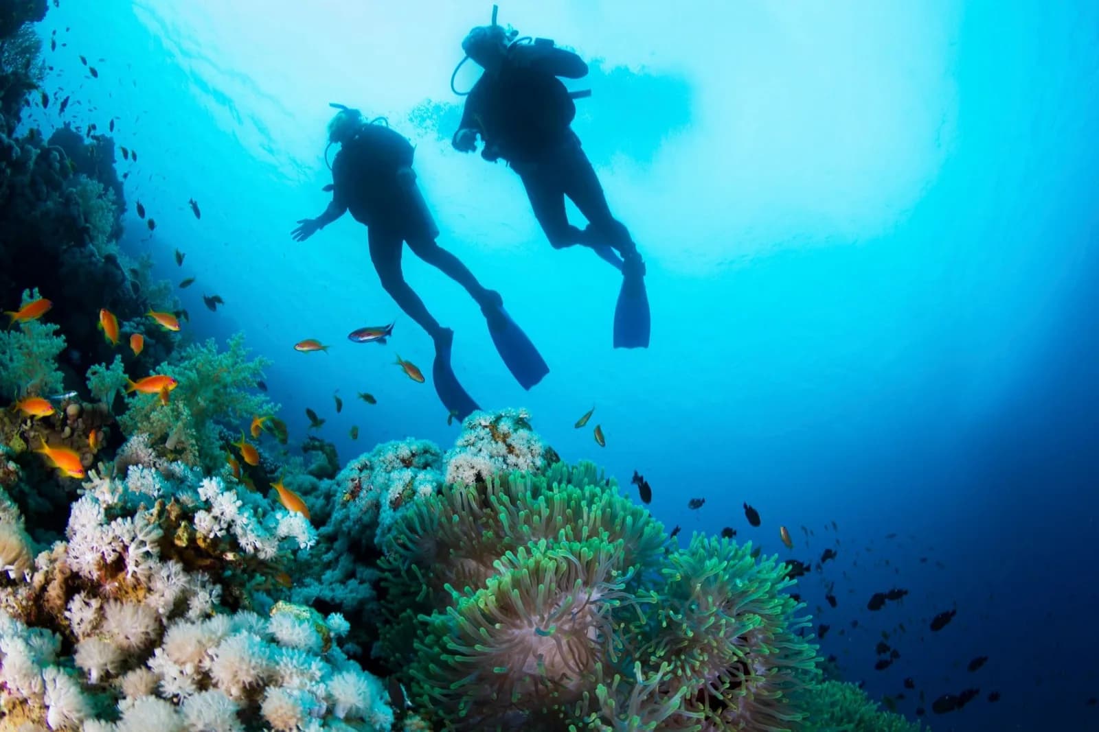 Marsa Diving Center