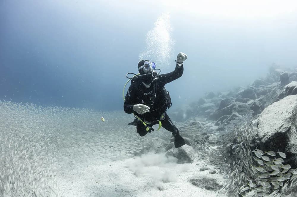 Buceo en Tenerife / Club de buceo Rincón de Arona / Snorkeling en Tenerife / Bautizos