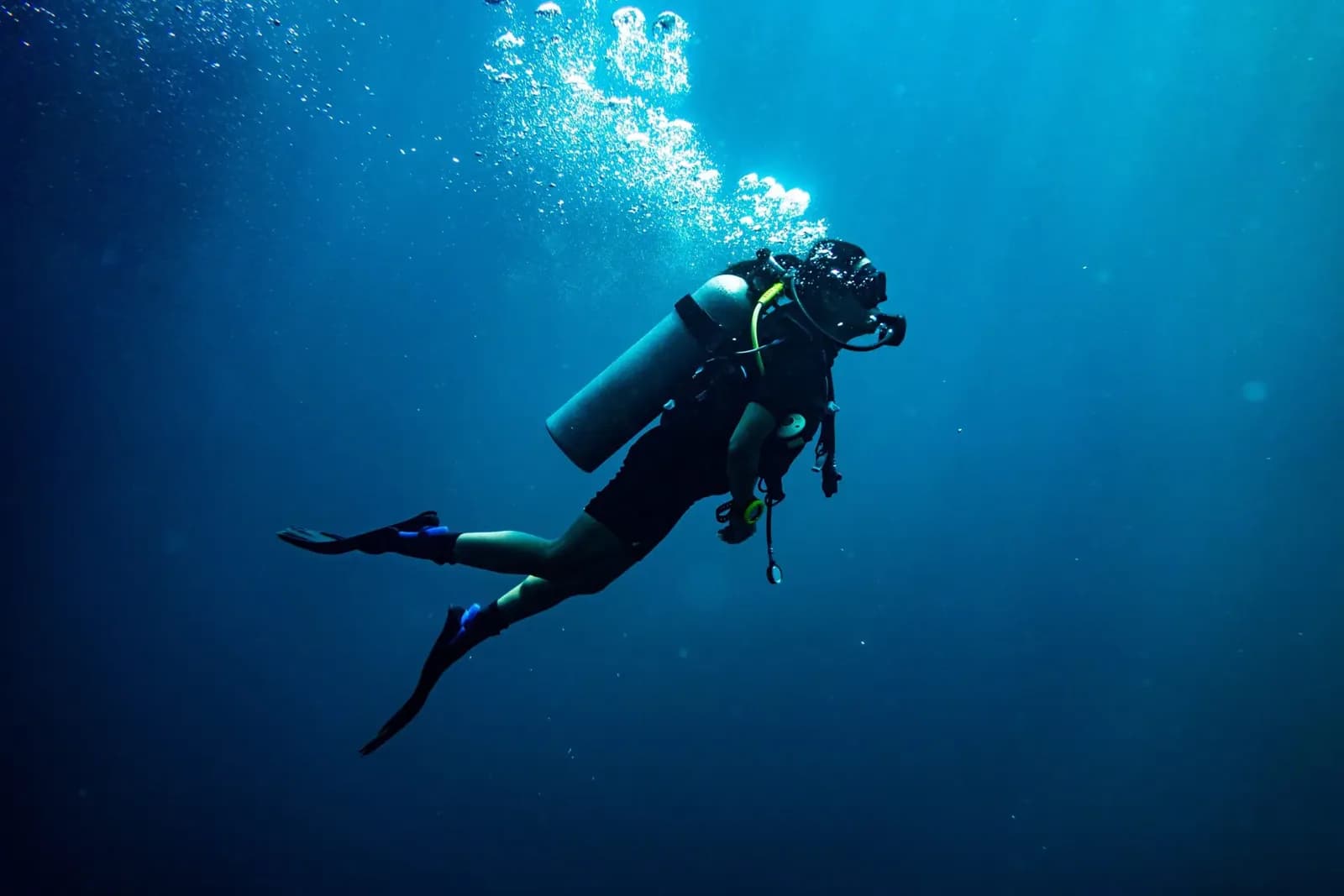 Omega Divers