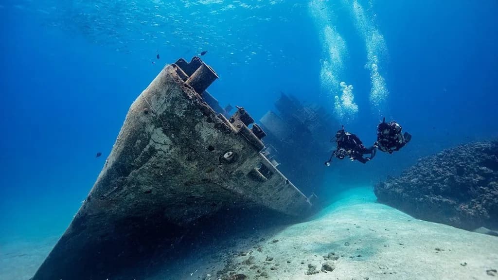 Roatan Ocean Divers
