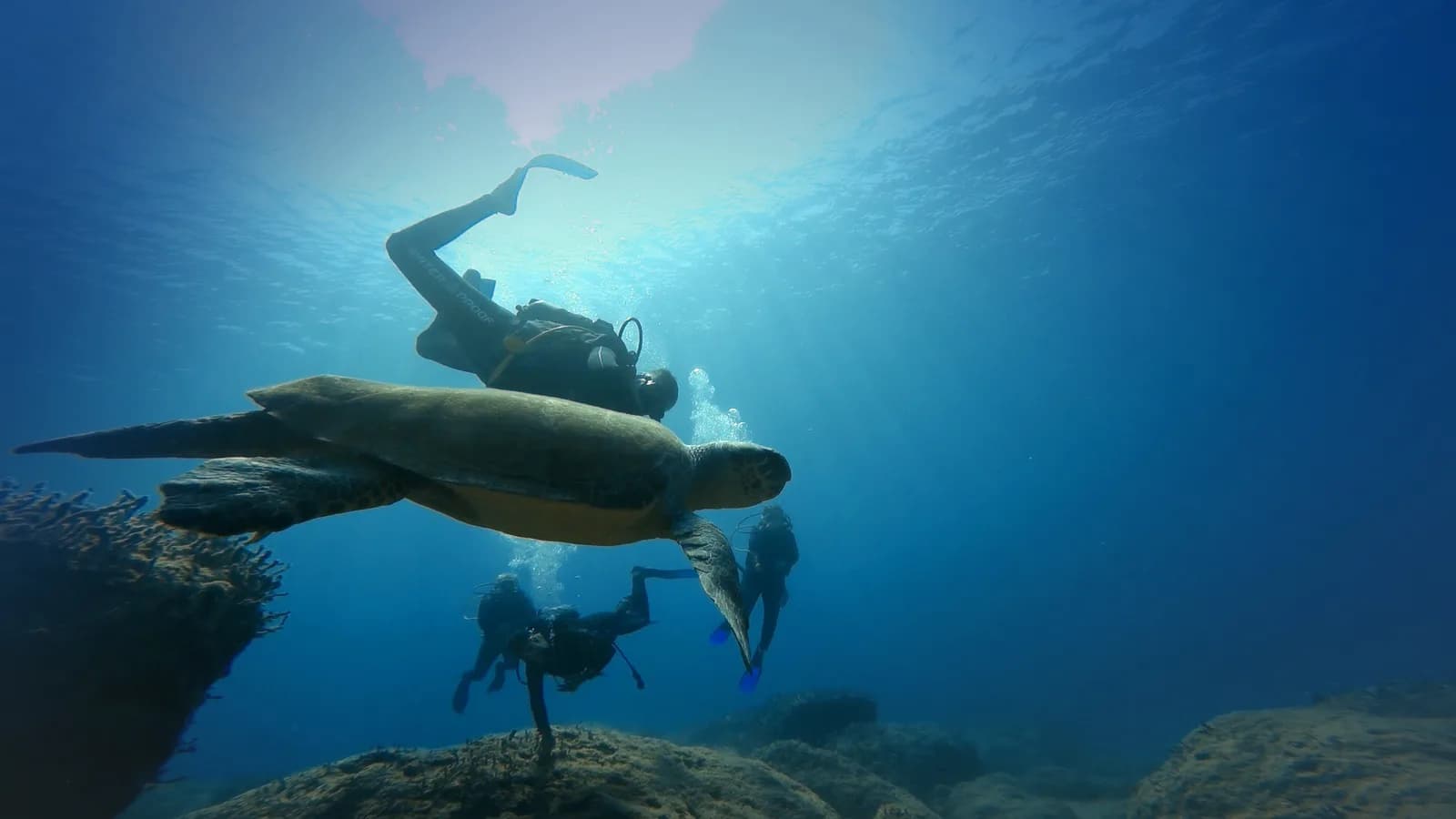 Diving Center Atlantis