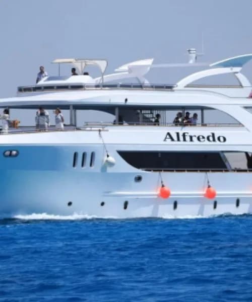 Megalodon Diving Club Sharm El Sheikh