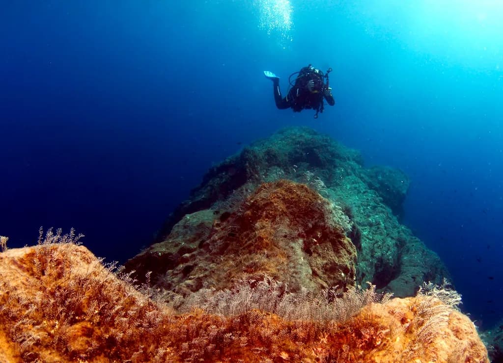 Easy Divers Rhodes