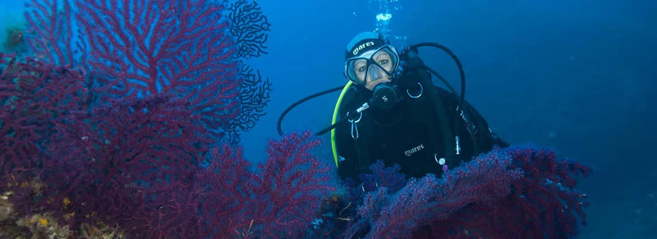 Talas Diving Center
