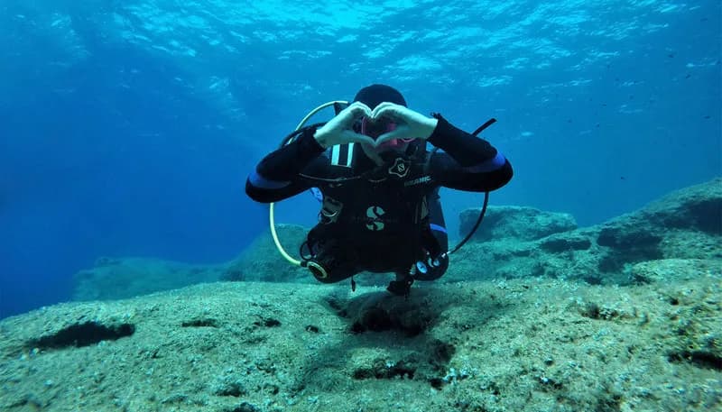 Divewise