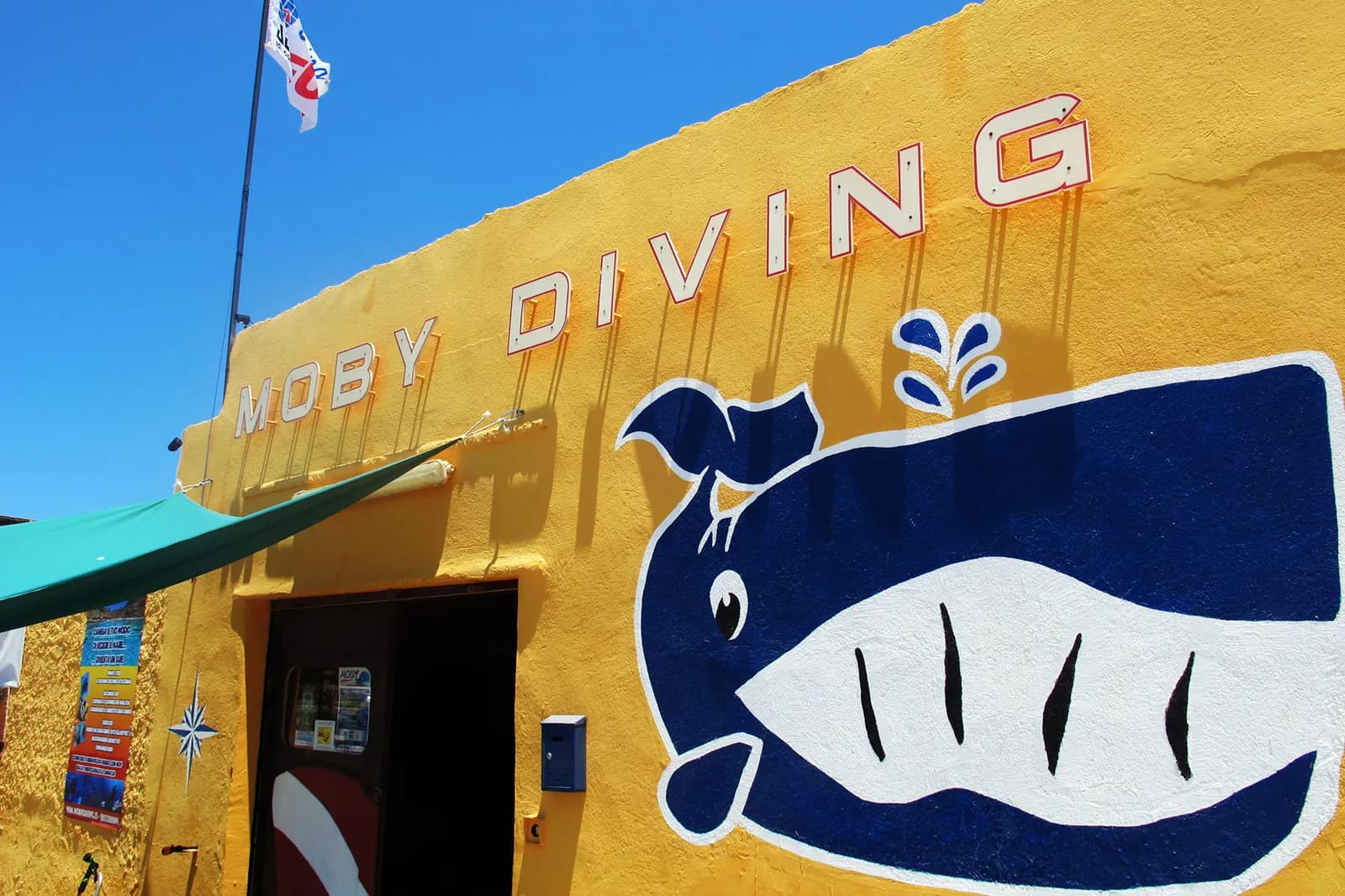 Moby Diving