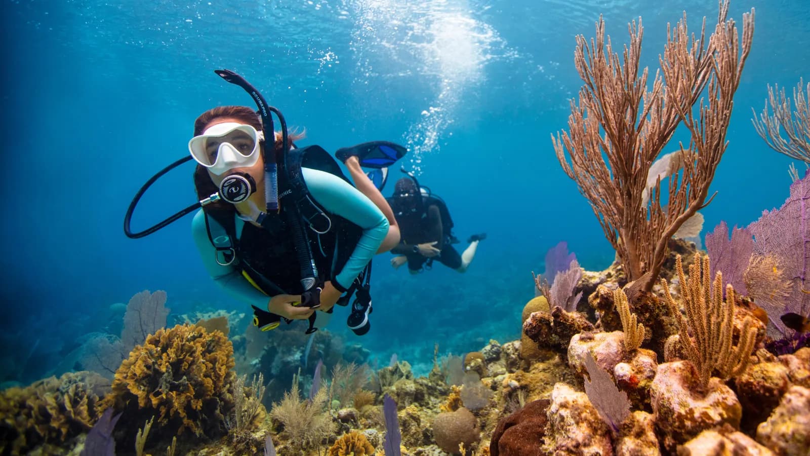 Scuba Pulse