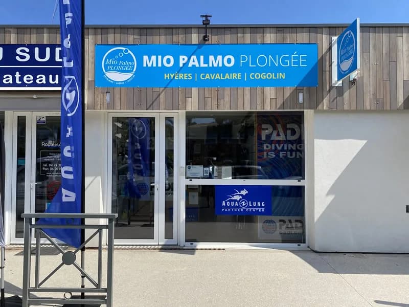 Mio Palmo plongée