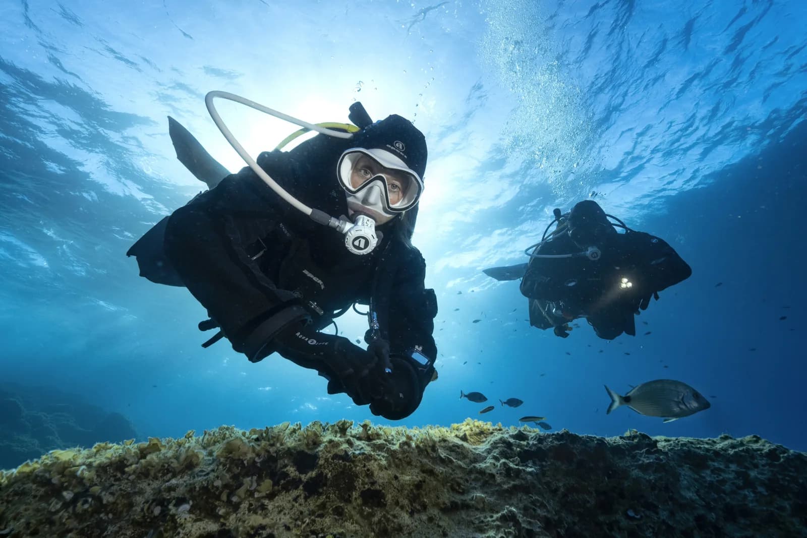 Dream Dive