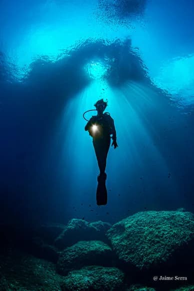Octopus Scuba