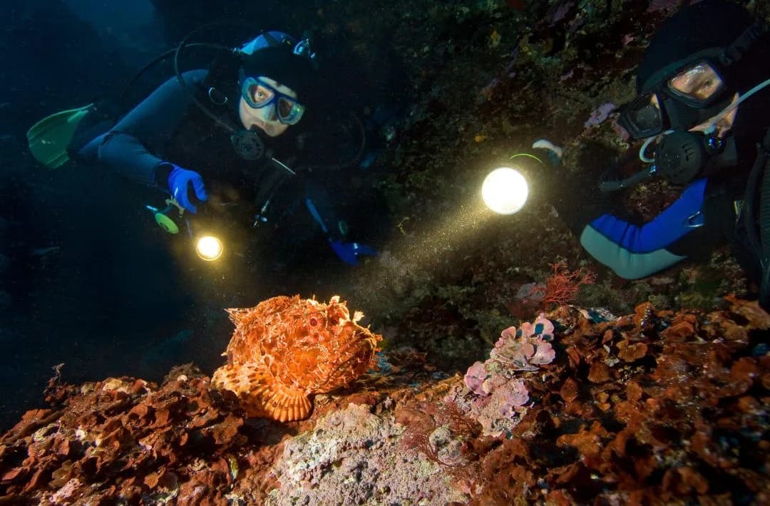 Aqaba Adventure Divers