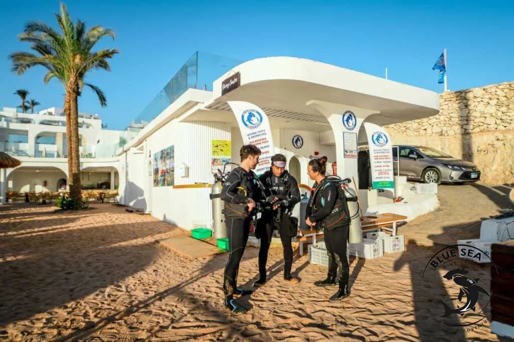 Blue Sea Dive Club