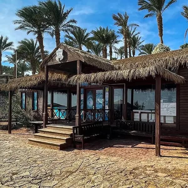 Scorpion Dive Club