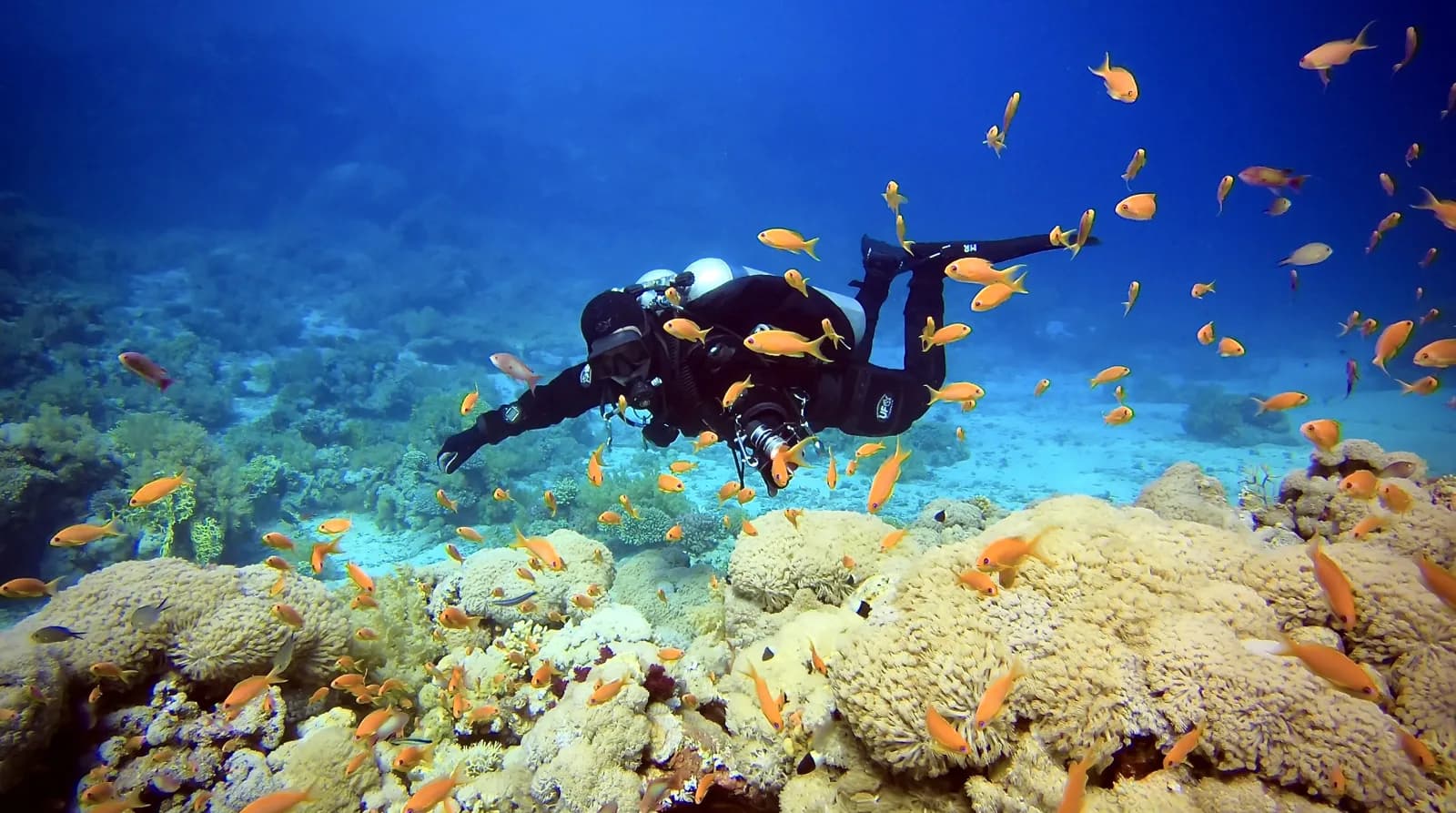 Sheikh Coast Diving Center
