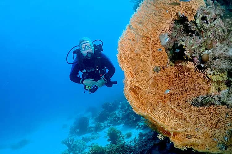 Aquanaut Blue Heaven