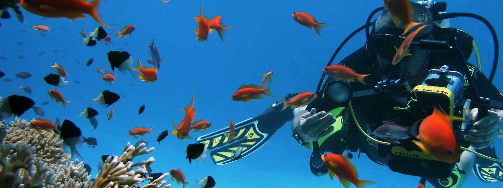 Ilios Dive Club