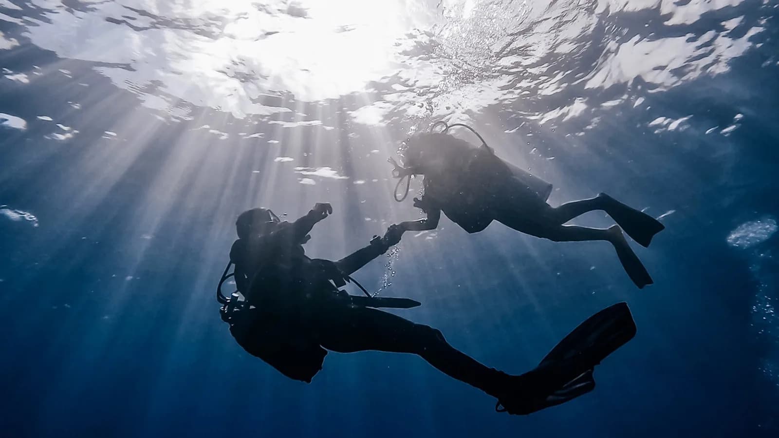 Dive & Dive