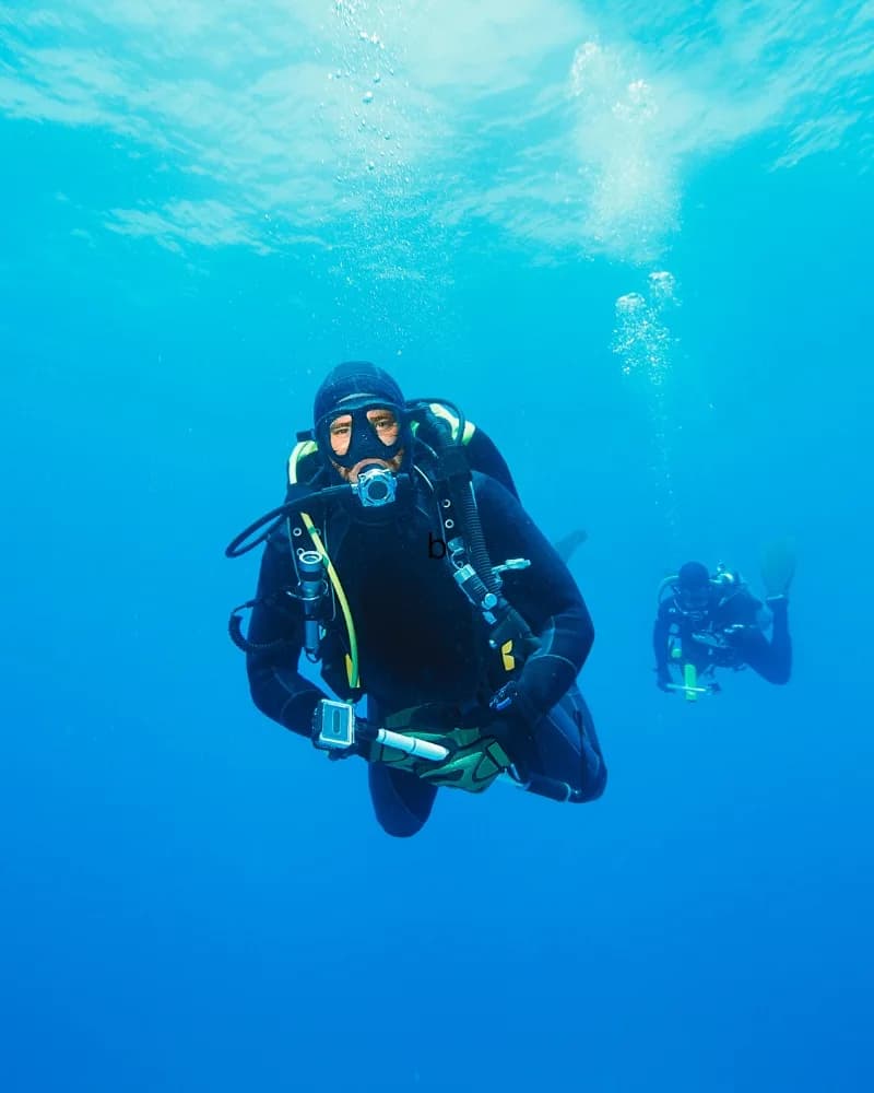 Into the  Blue Diving