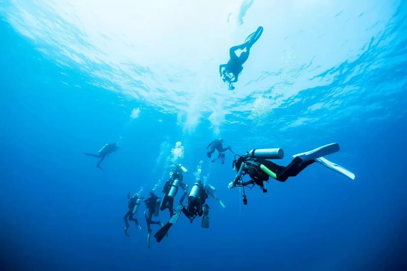 Dive Point
