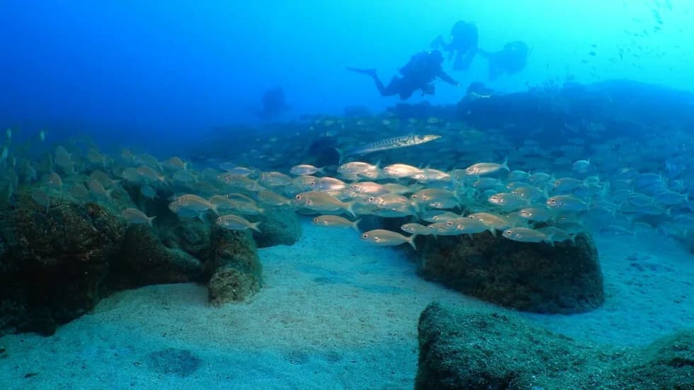 Scuba Legends Dive Center Lanzarote