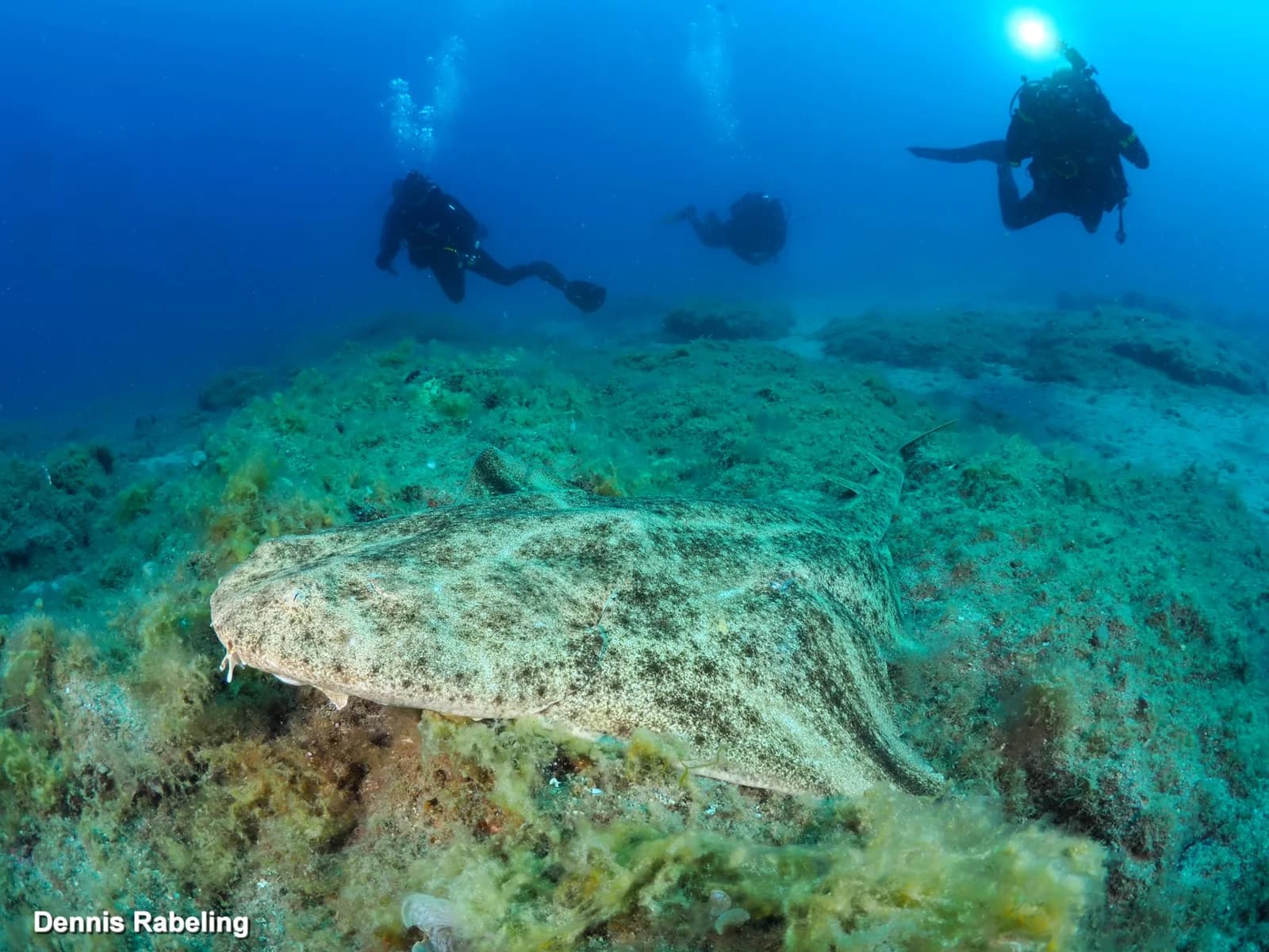 Euro-Divers Lanzarote