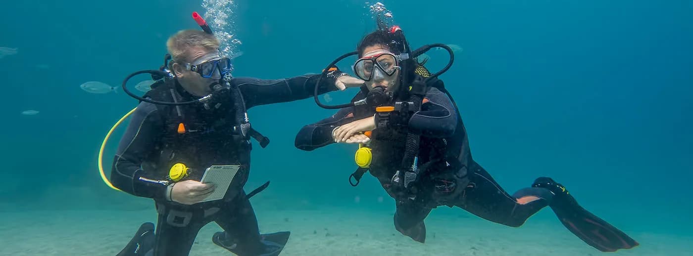 Safari Diving Lanzarote