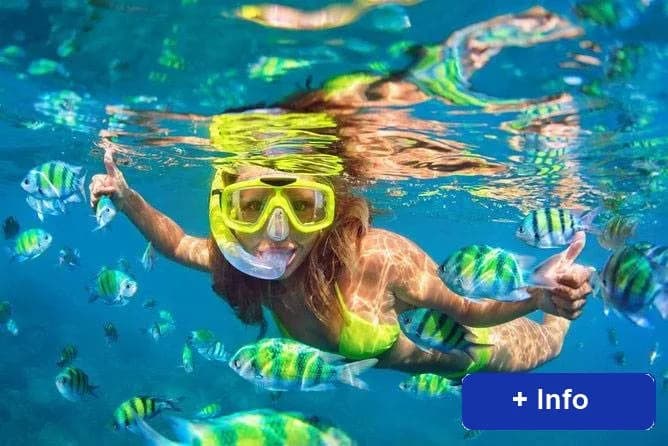 Lanzarote Non Stop Divers