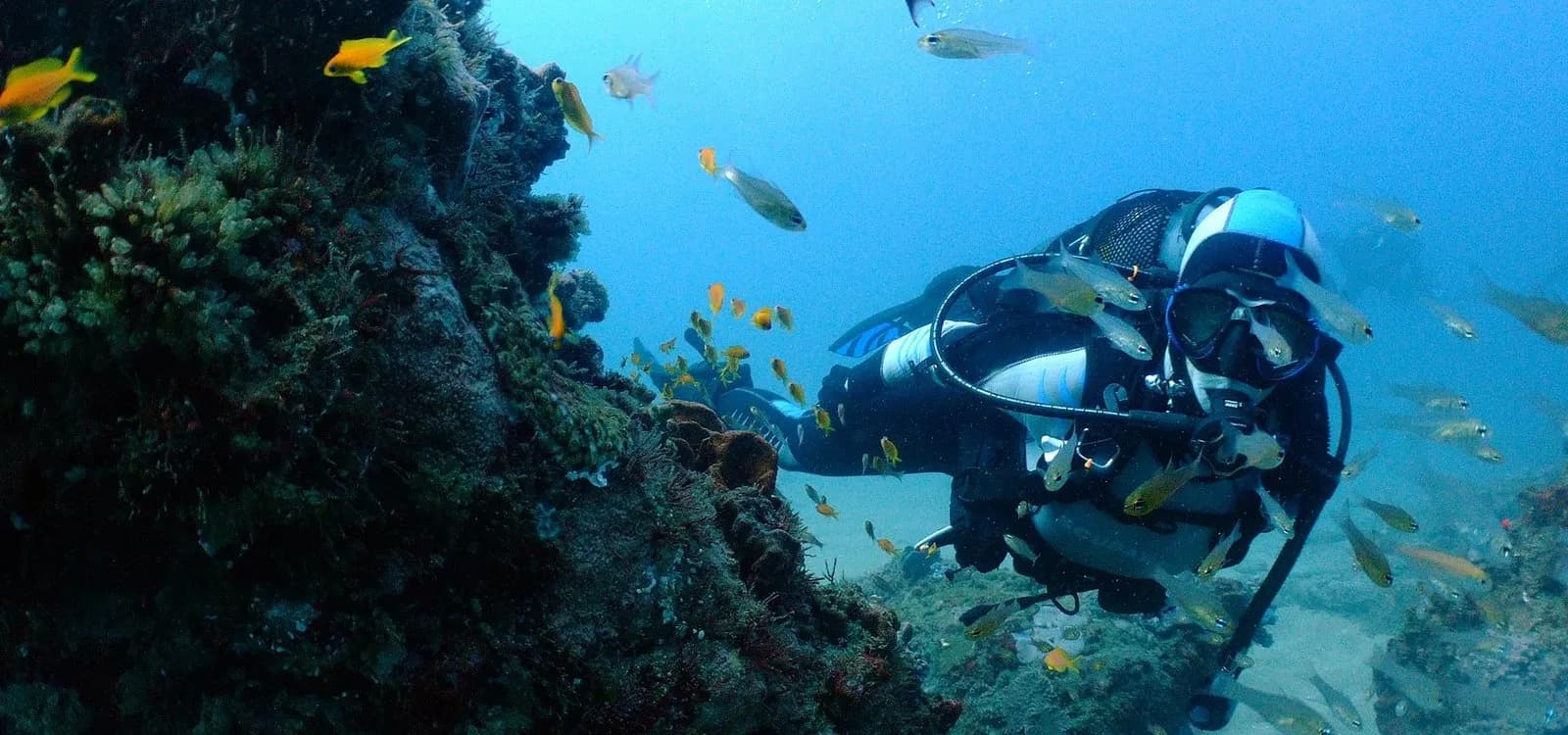 Calypso Dive Center