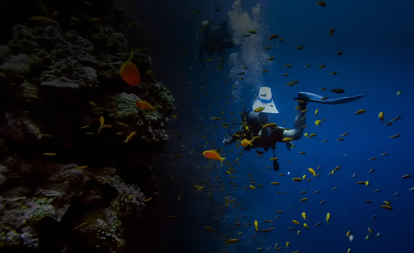 Scuba Evolution India