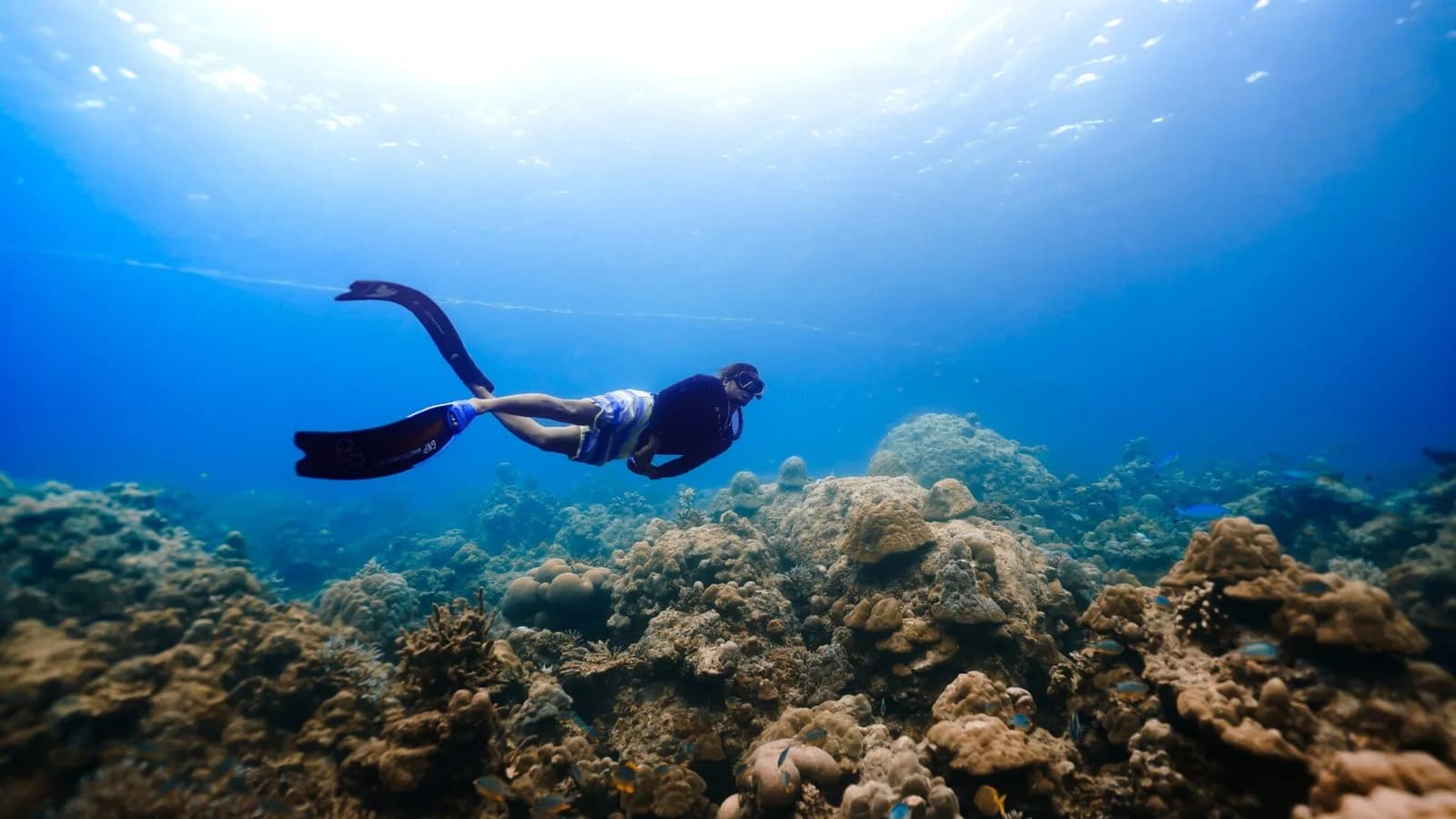 Temple Adventures Divers India