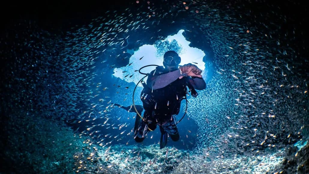 Dive Butler Amilla