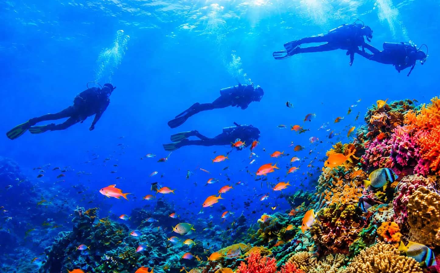 The Dive Squad